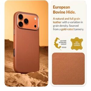 iPhone 17 pro max leather case